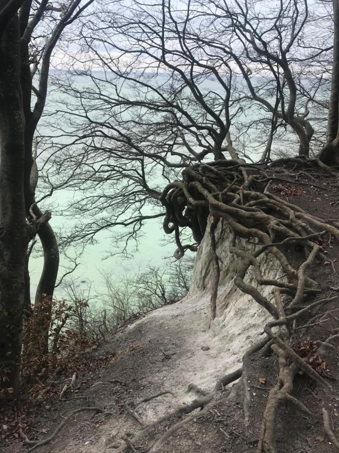 Hering Fewo II Apartment Balcony Wiek auf Rügen エクステリア 写真