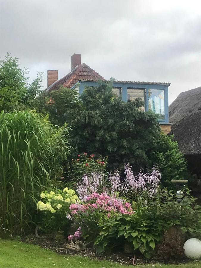 Hering Fewo II Apartment Balcony Wiek auf Rügen エクステリア 写真